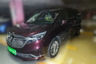 Buick GL8 · 2022 год
