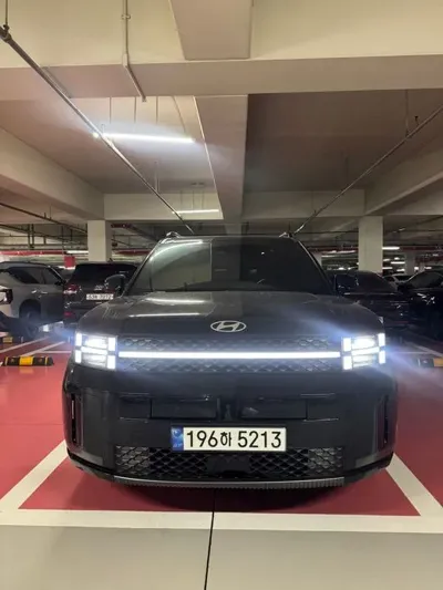 Hyundai Santafe · 2024 год