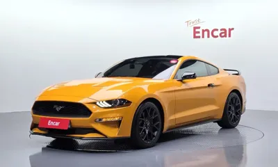 Ford Mustang · 2019 год