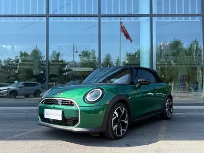 MINI MINI · 2025 год