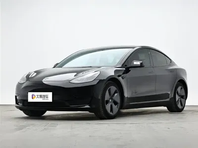 Tesla Model 3 · 2022 год