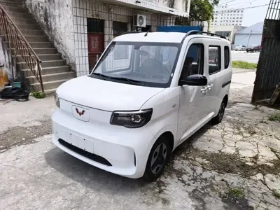 Wuling Zhiguang EV · 2026 год