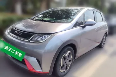 BYD Dolphin · 2021 год