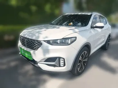 WEY Wey VV6 · 2020 год