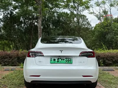 Tesla Model 3 2021, 115000 км, за 112800 CNY - фото 10