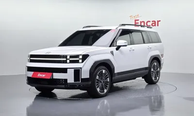 Hyundai Santafe · 2025 год