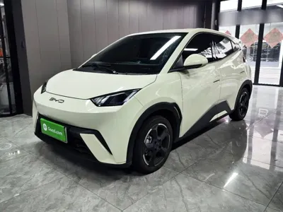 BYD Seagull · 2023 год