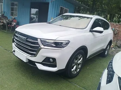 Haval H6 · 2022 год