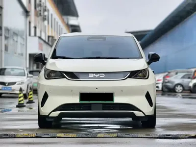 BYD Dolphin 2025, 23000 км, за 71400 CNY - фото 7