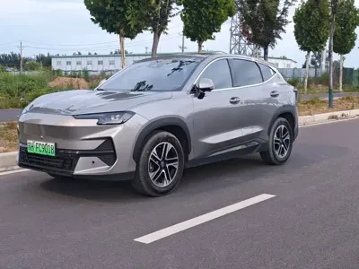 Shanhai Shanhai L6 · 2025 год