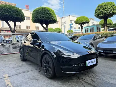 Tesla Model Y 2021, 53000 км, за 136800 CNY