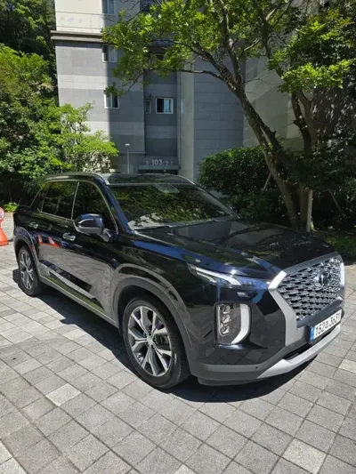Hyundai Palisade · 2021 год