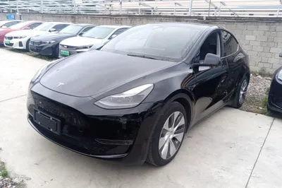 Tesla Model Y · 2021 год