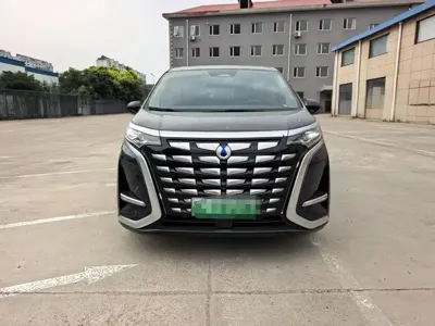 Denza Denza D9 · 2024 год