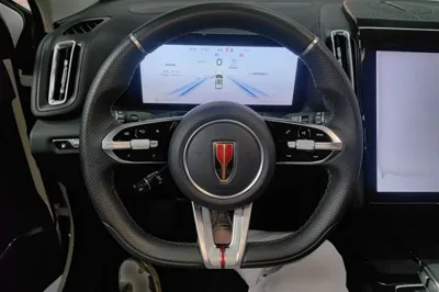 Hongqi HS3 PHEV 2025, 5300 км, за 107693.06 CNY - фото 13