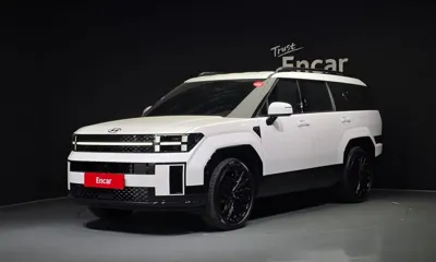 Hyundai Santafe · 2024 год