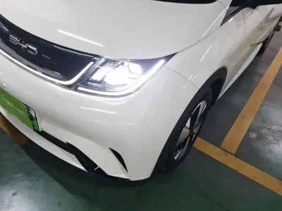 BYD Dolphin 2024, 54400 км, за 63300 CNY - фото 24