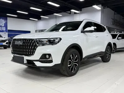 Haval H6 · 2023 год