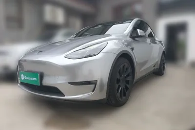 Tesla Model Y · 2021 год