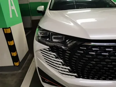 Haval H6 2022, 41900 км, за 48500 CNY - фото 7