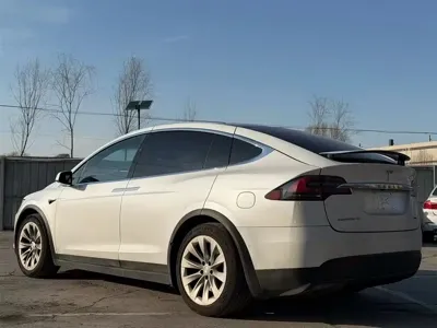 Tesla Model X 2019, 120000 км, за 153000 CNY