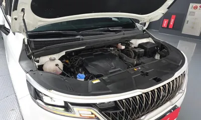 Kia Canival 2023, 38017 км, за 38500000 KRW - фото 6