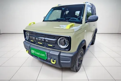 Geely Galaxy Panda · 2024 год