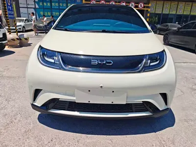 BYD Dolphin 2024, 70000 км, за 58800 CNY - фото 2