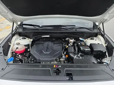 Hyundai Santafe 2021, 118143 км, за 19700000 KRW - фото 7