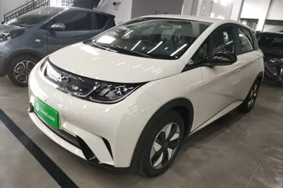 BYD Dolphin · 2025 год