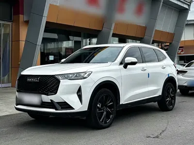 Haval H6 · 2024 год