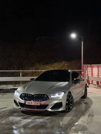BMW 8-Series · 2023 год