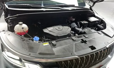 Kia Canival 2023, 95577 км, за 26500000 KRW - фото 6