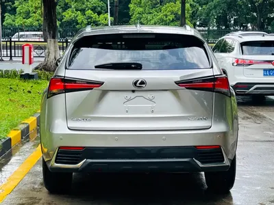 Lexus NX 2019, 75000 км, за 125800 CNY