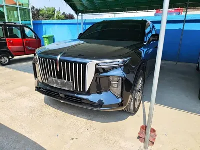 Hongqi Hongqi E-HS9 2023, 52900 км, за 221200 CNY