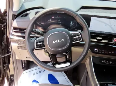 Kia Canival 2025, 39167 км, за 41500000 KRW - фото 8