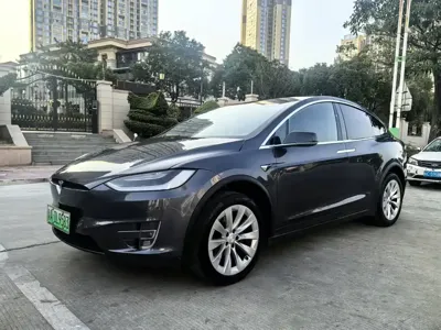 Tesla Model X · 2020 год