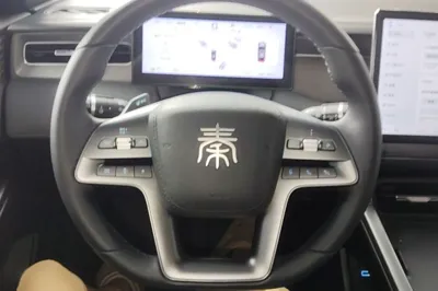 BYD Qin Plus 2025, 13799 км, за 105888.68 CNY - фото 13