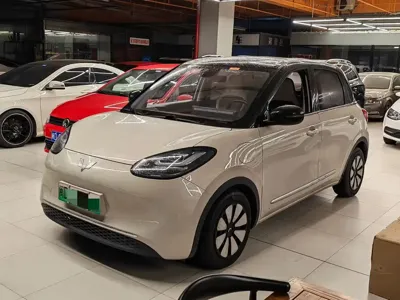 Wuling Bingo · 2024 год