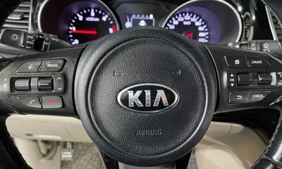 Kia Canival 2015, 162702 км, за 8900000 KRW - фото 12