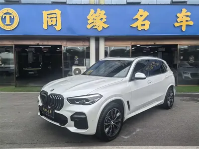 BMW X5 · 2023 год