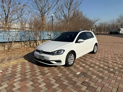 Volkswagen Golf · 2018 год