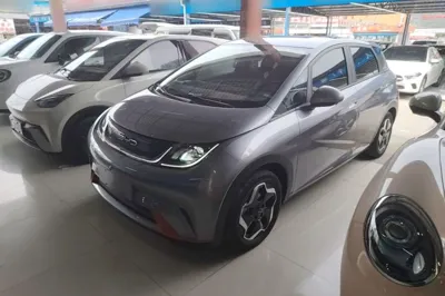 BYD Dolphin · 2021 год