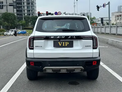Haval Big Dog 2020, 65000 км, за 58800 CNY - фото 11