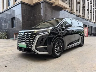 Denza Denza D9 · 2025 год