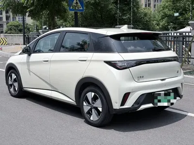 BYD Dolphin 2023, 68000 км, за 58800 CNY