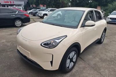 Geely Galaxy Geome · 2025 год