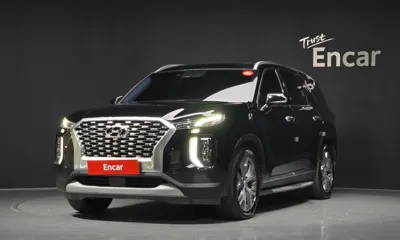 Hyundai Palisade · 2020 год