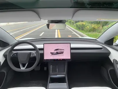 Tesla Model 3 2026, 100 км, за 217000 CNY - фото 6