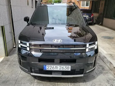 Hyundai Santafe · 2025 год